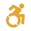 Icon: Handicap