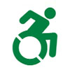 Icon: Handicap